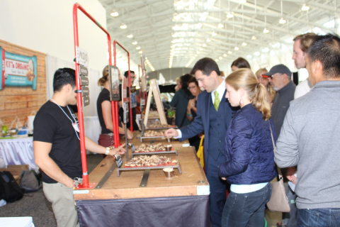 Green-Festival-SF-2014-846