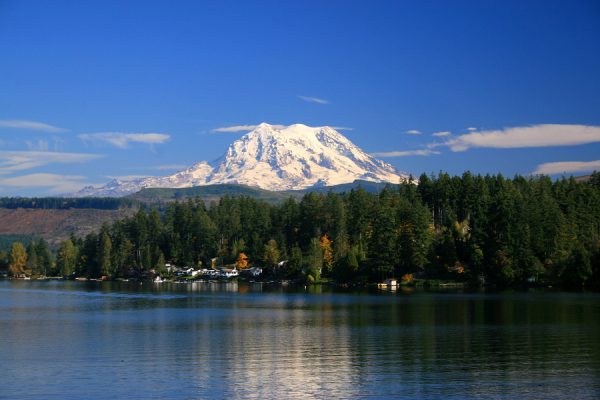 ERI Provides Solutions for Pacific Northwest’s e-waste Problems