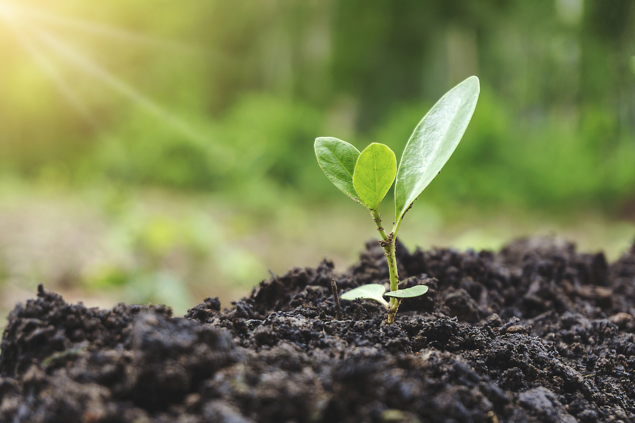 ERI Publishes Annual 2024 Impact Report, with Focus on Circularity